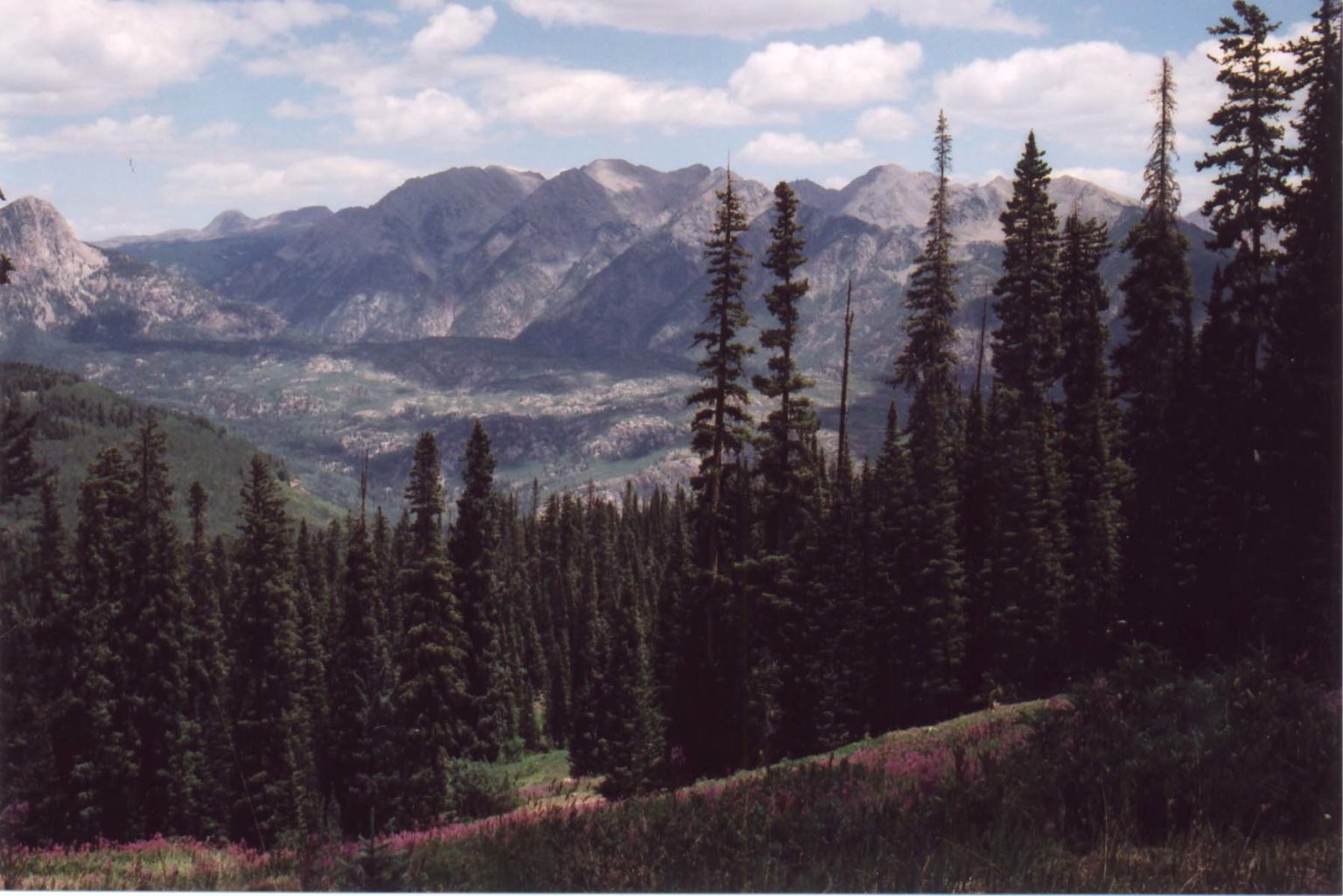 Durango Colorado Jeep Tours-Mild to Wild