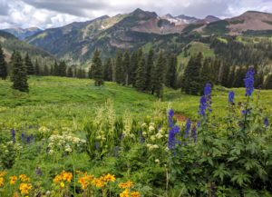 Durango Colorado Jeep Tours - Mild to Wild