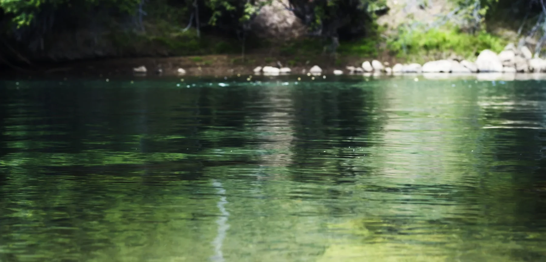 Lower Animas Rafting Durango CO-Mild to Wild