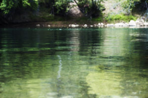 Lower Animas Rafting Durango CO-Mild to Wild