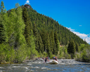 wide shot of the piedra river near pagosa springs, co - raft in the river with pine trees in background - Mild to Wild