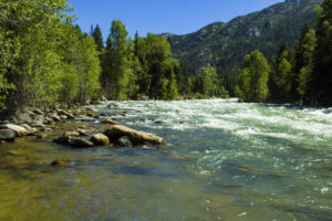 Upper Animas Rafting Silverton CO-Mild to Wild