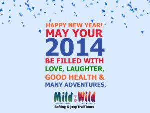 New Years-Mild to Wild