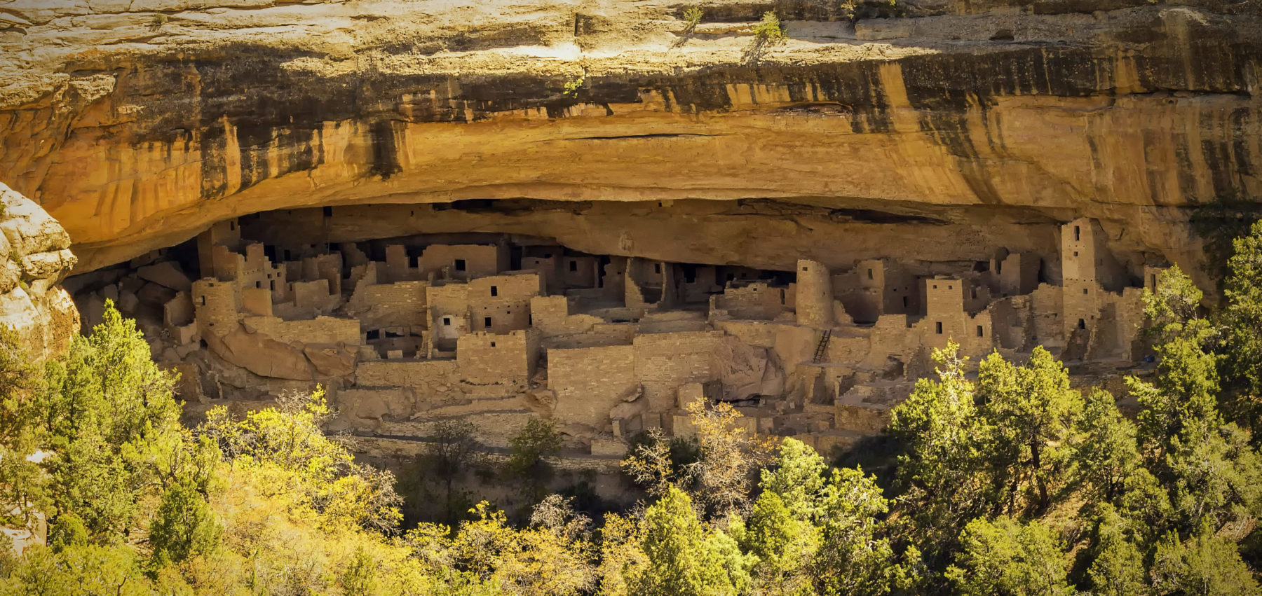 Mesa Verde-Colorado-Mild to Wild