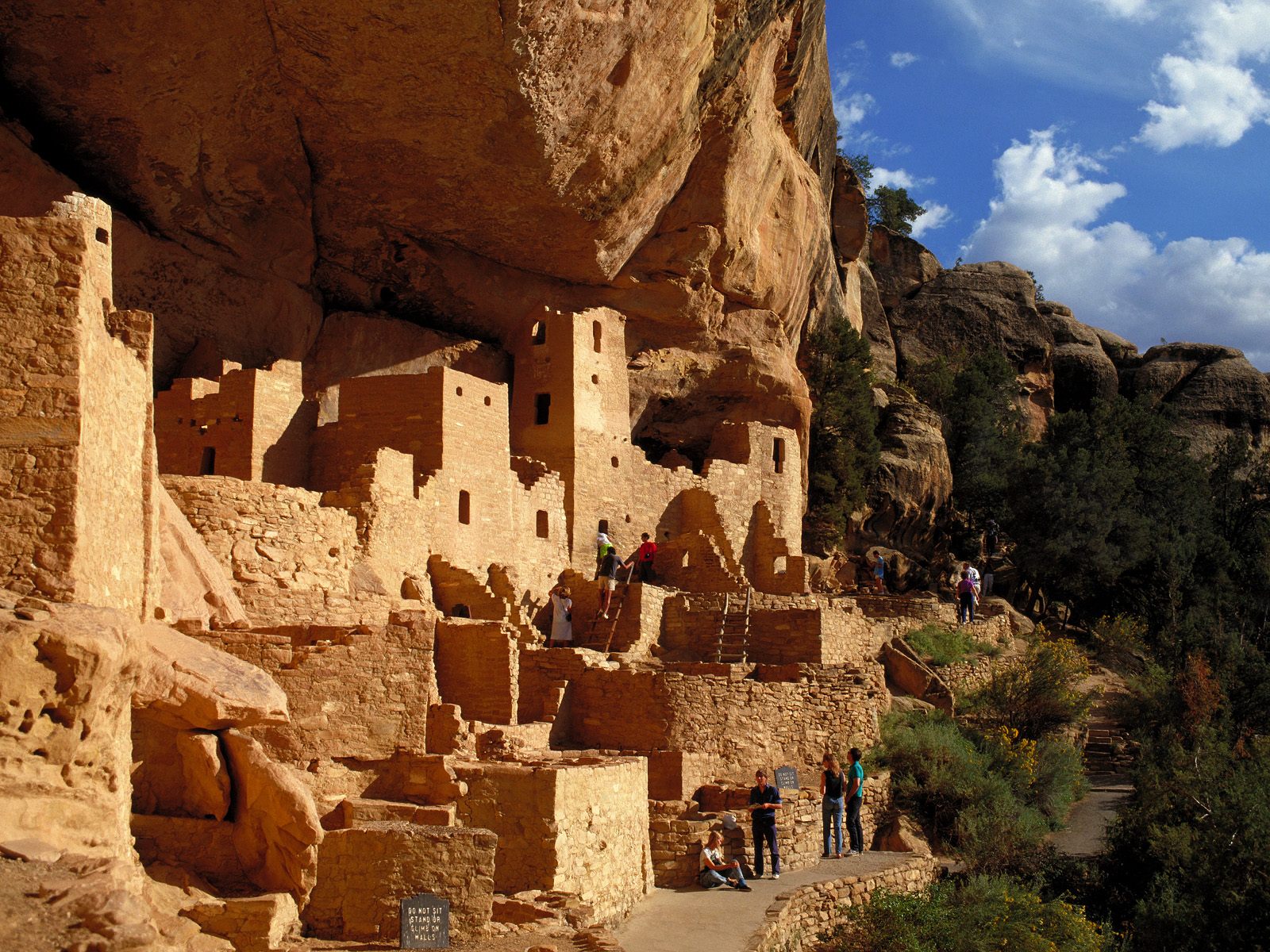 Cliff Dwellings- Mesa Verde Tours