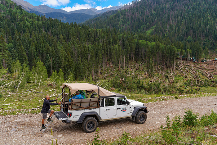 Jeep on the trail