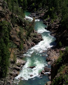 Rockwood Gorge of the Upper Animas RIver