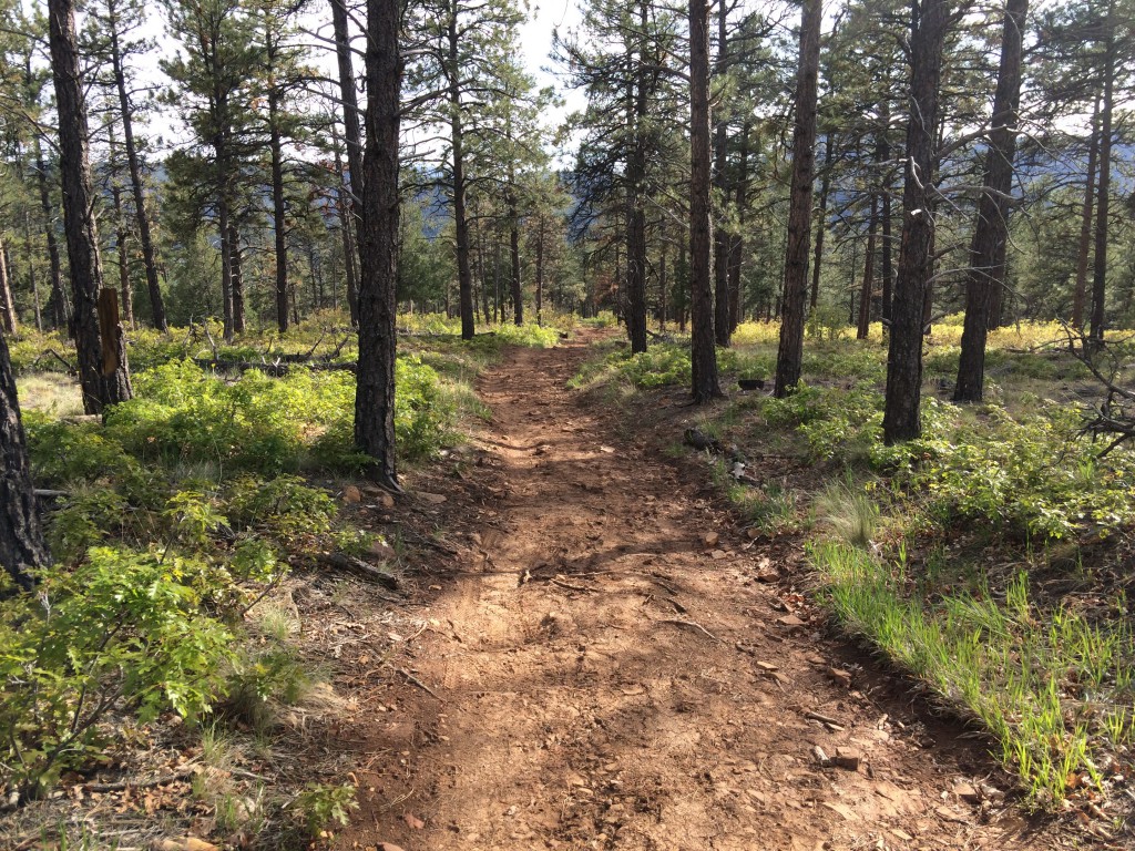 Durango hiking