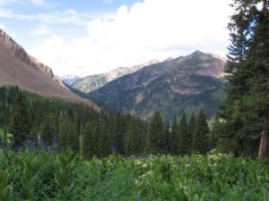 Things to do in Durango CO-Jeep Tours-Mild to Wild