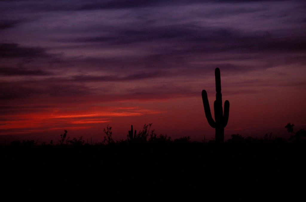 Salt River