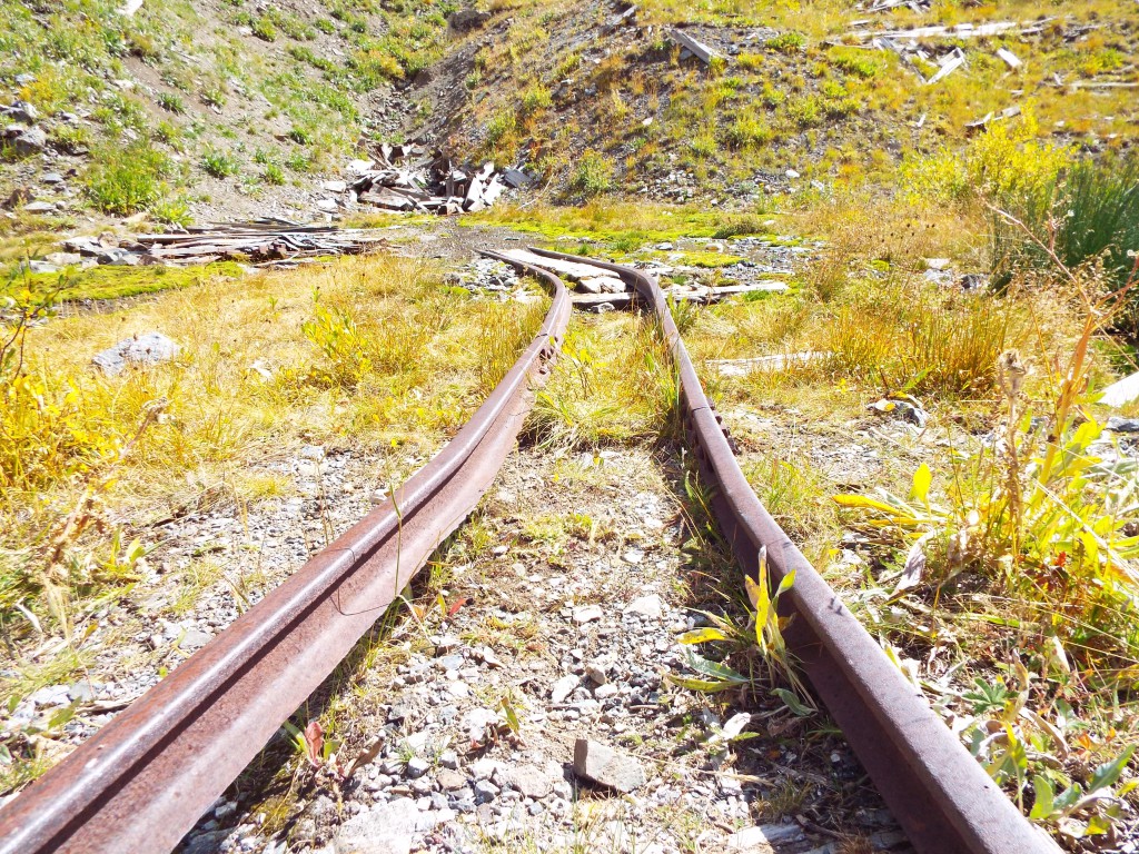 scenic train