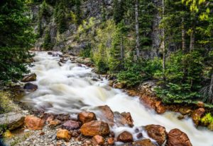 Things to do in Ouray CO-Mild to Wild