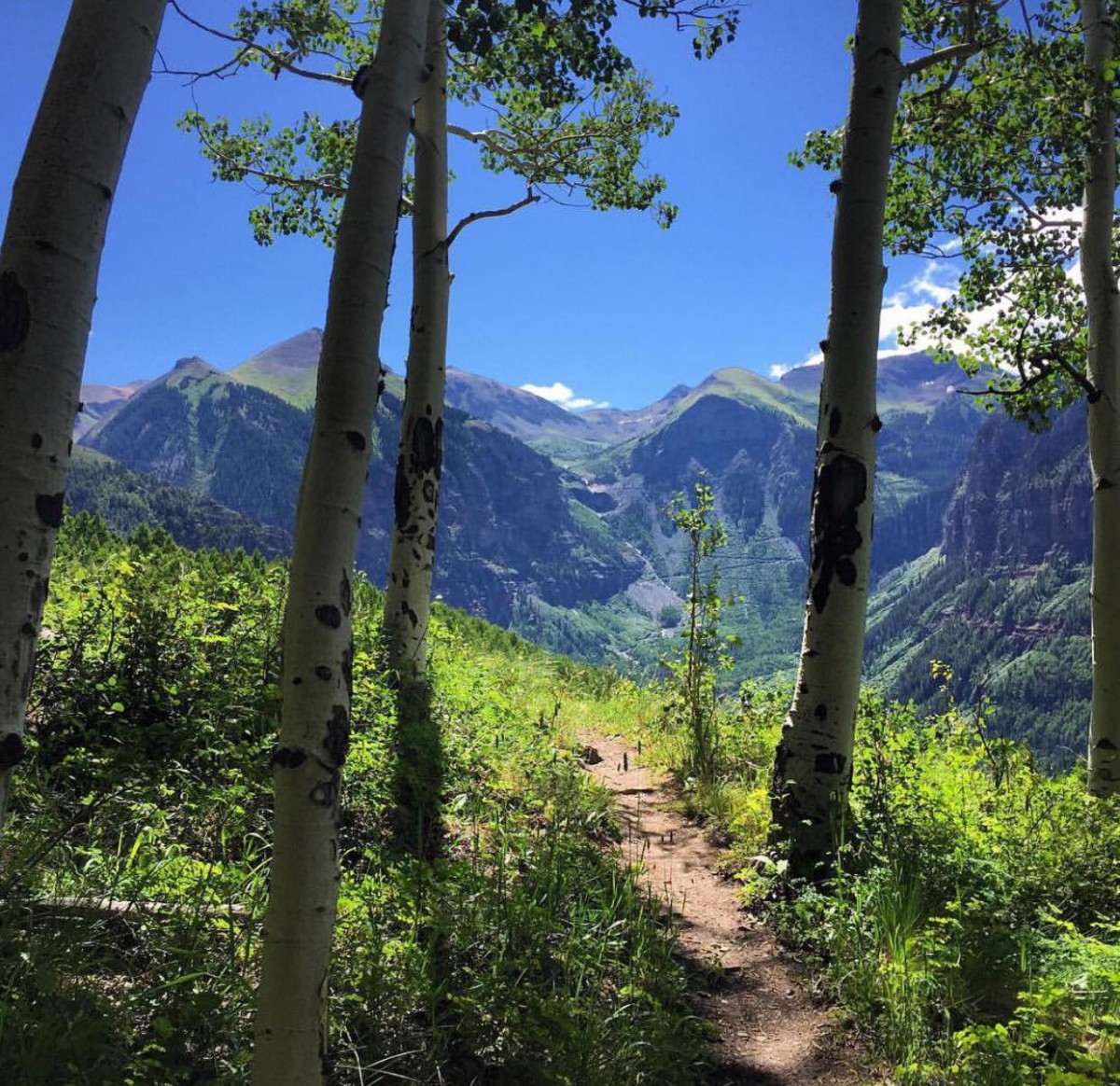 Whitewater rafting telluride