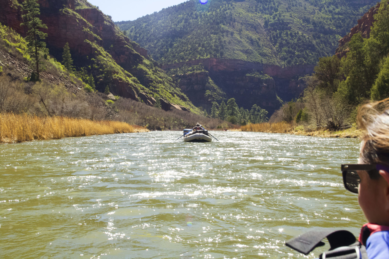 Dolores River Rafting-Colorado-Mild to Wild