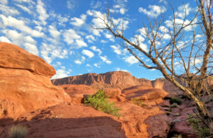 Moab Utah River Rafting-Colorado River-Mild to Wild