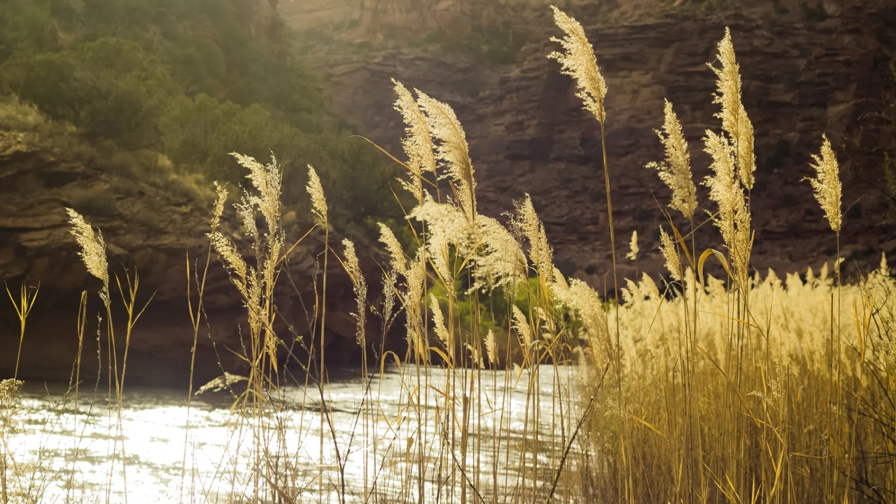 Dolores River Rafting-Colorado-Mild to Wild