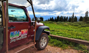 Durango CO Jeep Tours-La Plata Canyon-Mild to Wild