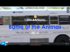 Lower Animas Rafting Durango CO- Battle of the Animas-Mild to Wild