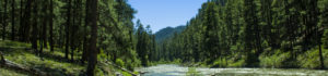 Pagosa Springs Whitewater Rafting - Mild to Wild