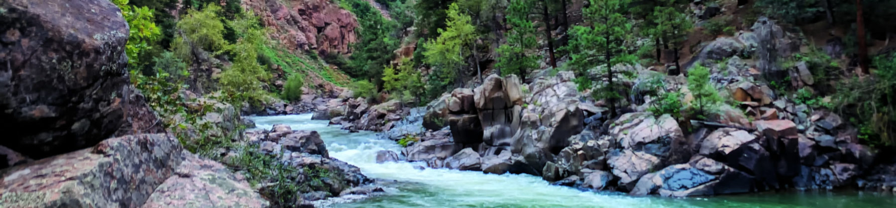 Upper Animas White Water Rafting Durango CO - Mild to Wild