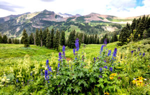 Jeep Tours in Durango Colorado-Mild to Wild