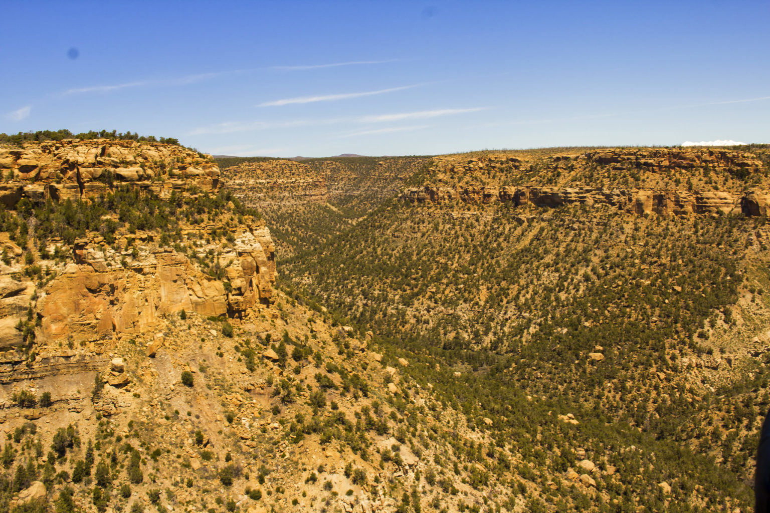 Mesa Verde National Park CO - Mild to Wild