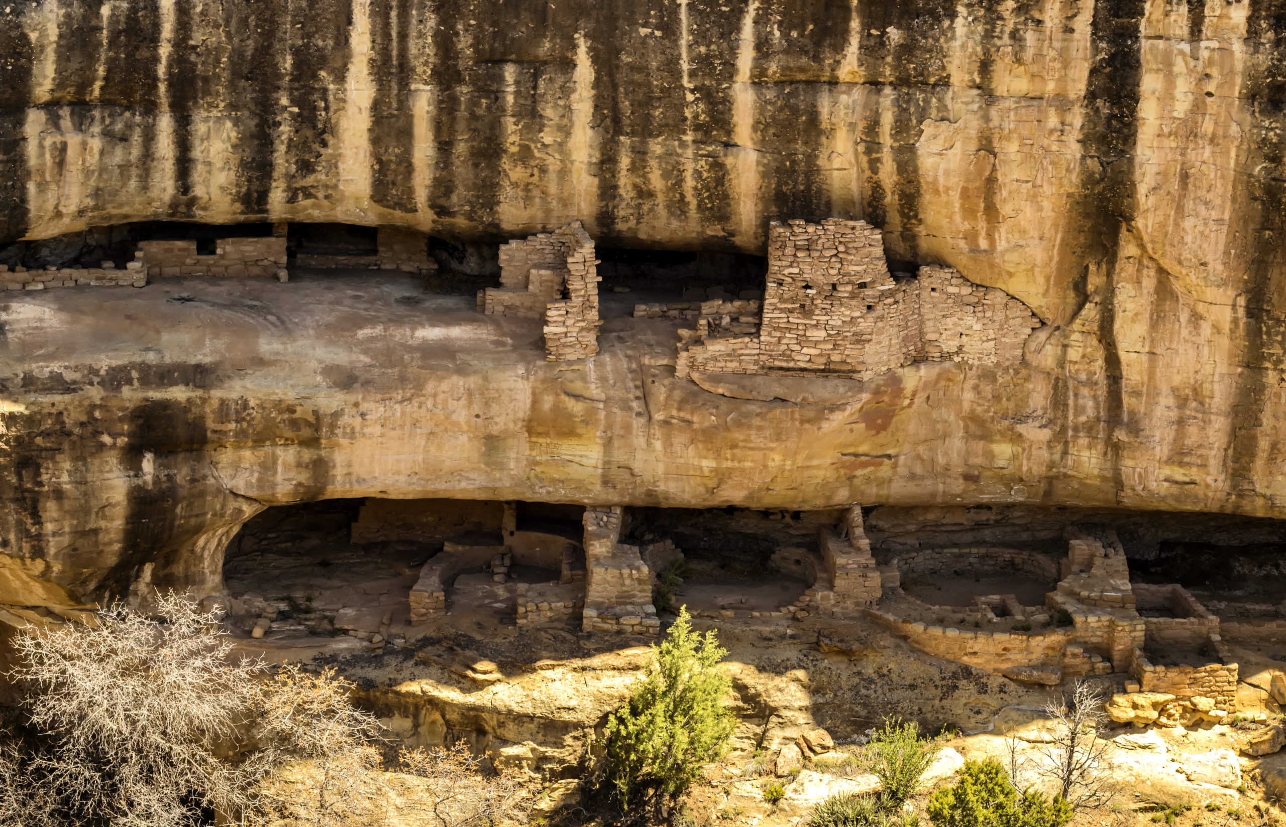 Great Tour In Mesa Verde Mild To Wild Rafting   IMG 2165 Scaled 