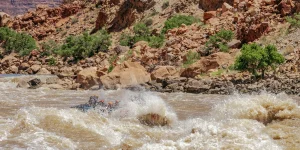 Cataract Canyon Whitewater Rafting - Rapids and red rock canyon walls