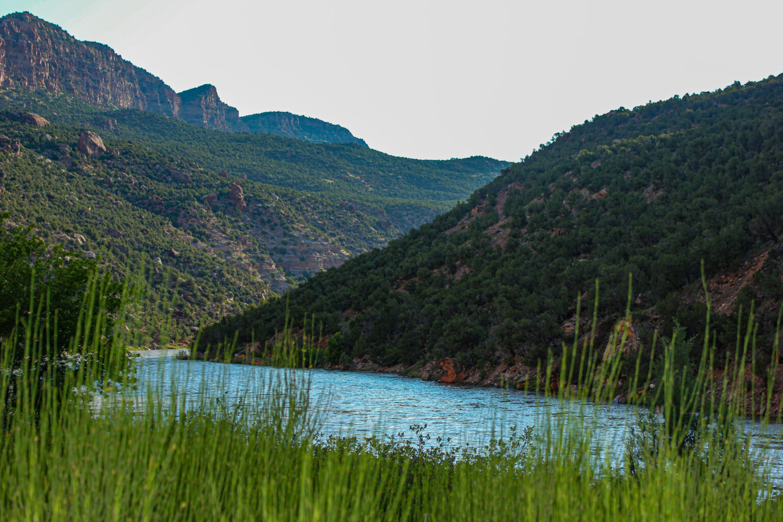 Morning shot of the Yampa River in Dinosaur National Monument - Mild to Wild