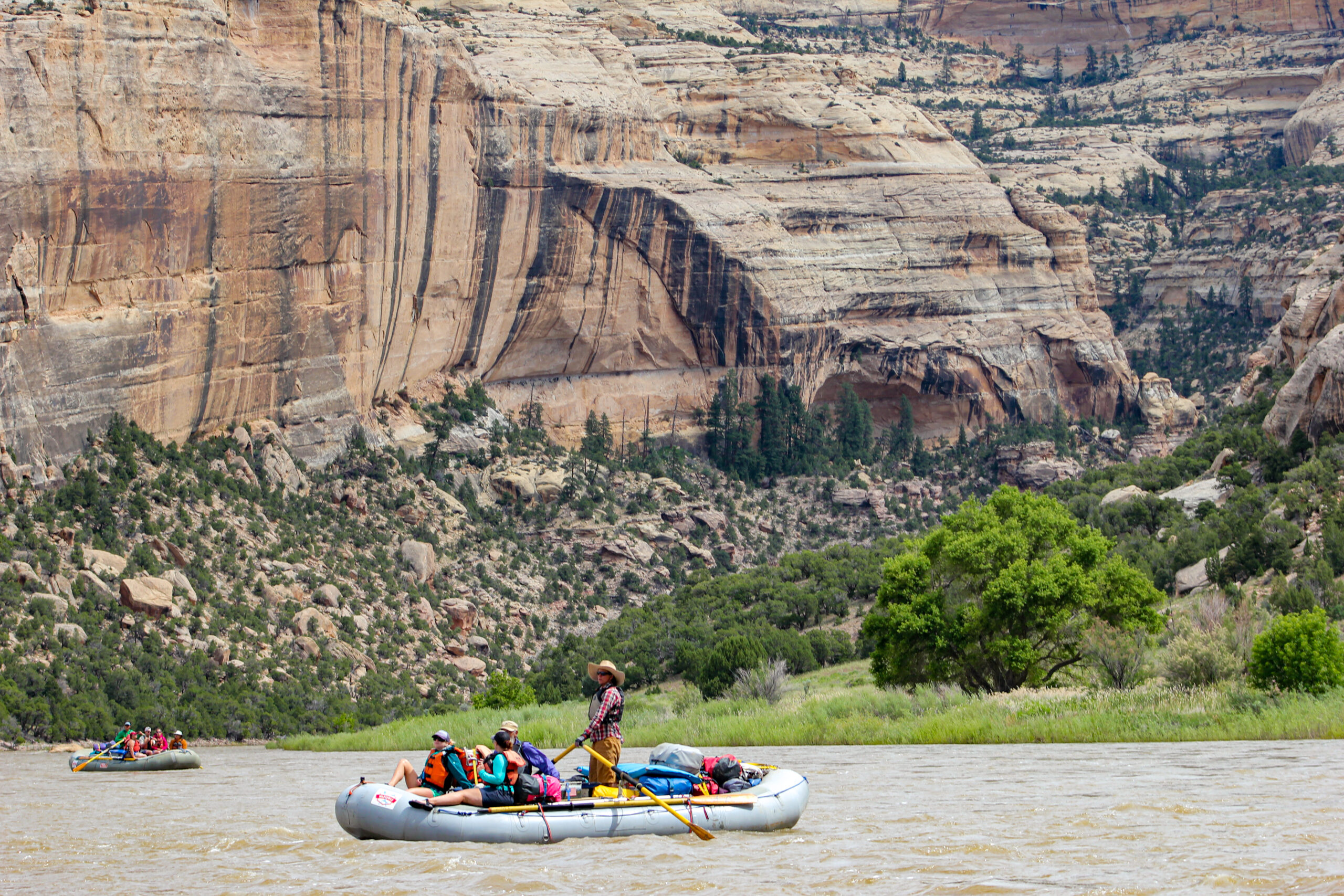 Guide standing in raft while rowing through the Yampa River in Dinosaur National Monument - Mild to Wild