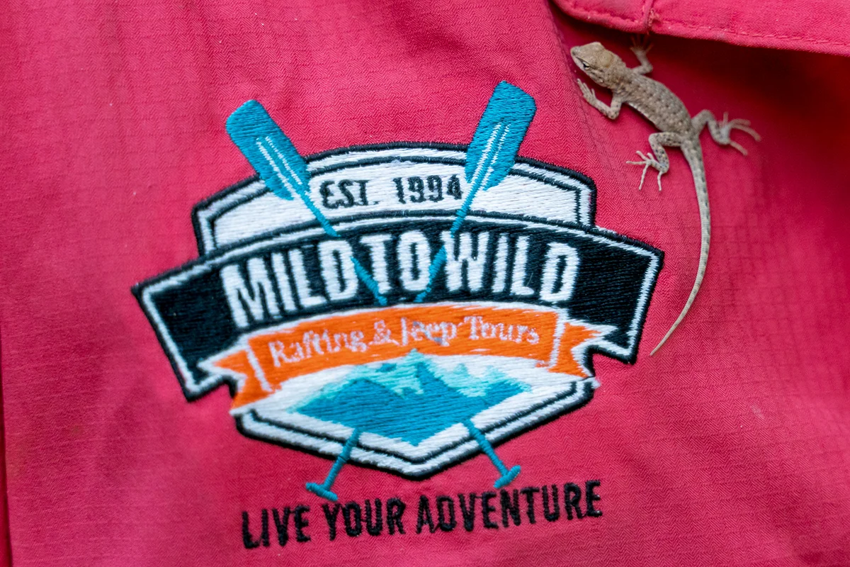 Mild to Wild patch with tiny lizard next to it - Mild to Wild