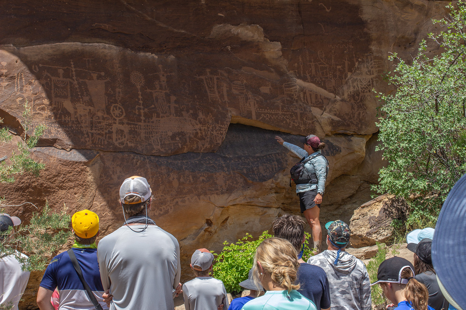 Guide pointing at petroglyphs in front of guests in desolation canyon - Mild to Wild