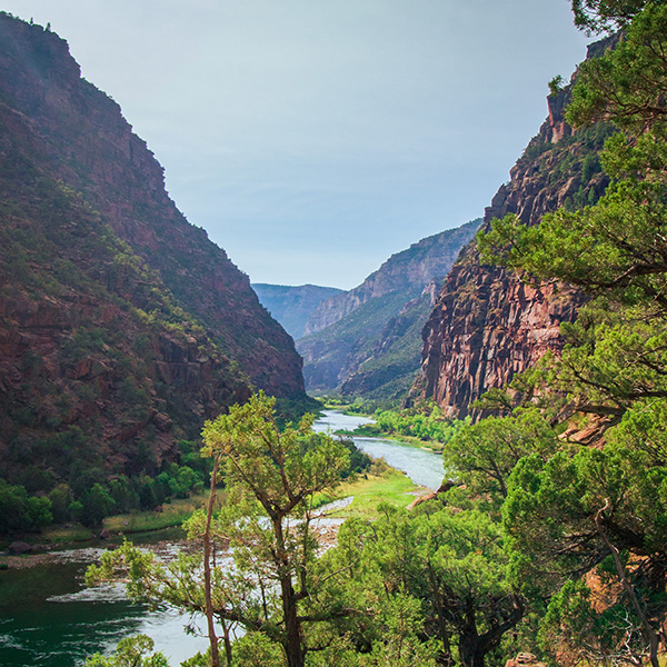 aerial view downstream of the green river in lodore canyon