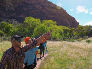 Gates of Lodore-Colorado Rafting-Utah Rafting-Mild to Wild Rafting