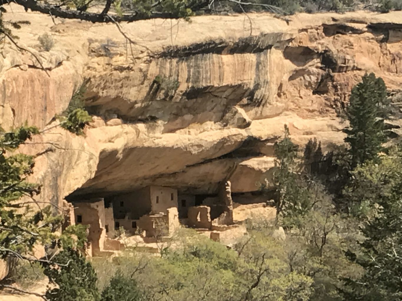 mesa verde, Cortez CO - Mild to Wild Rafting