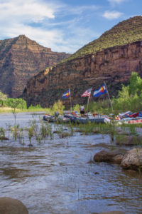 Desolation Canyon Rafting - Green River - Mild to Wild