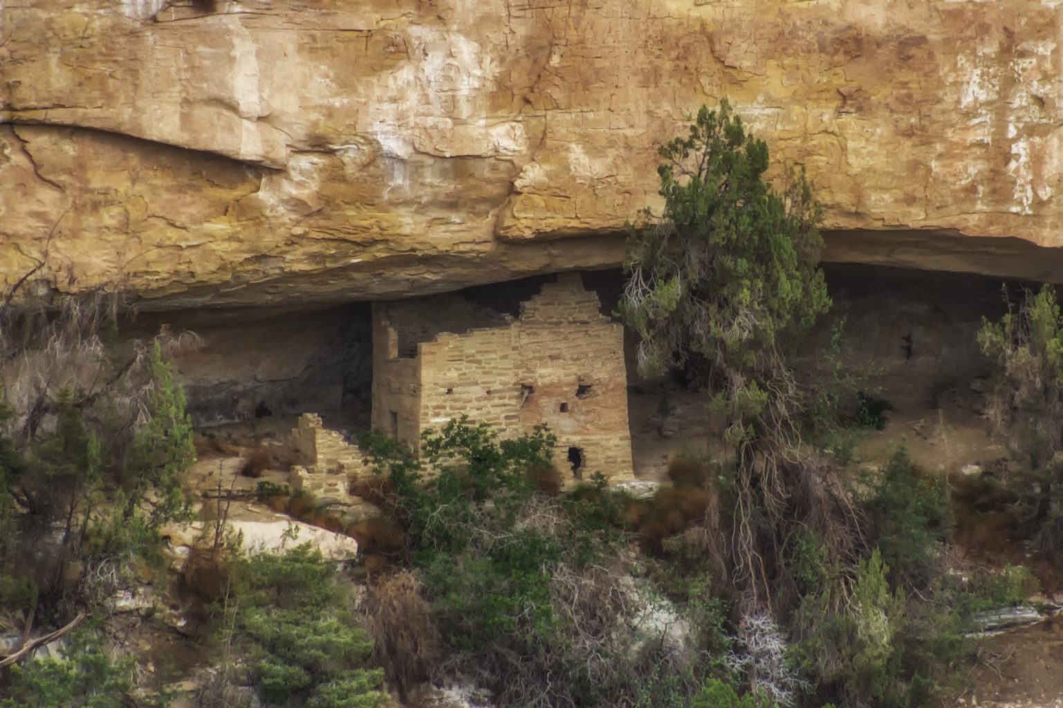 Mesa Verde-durango CO-mild to wild rafting