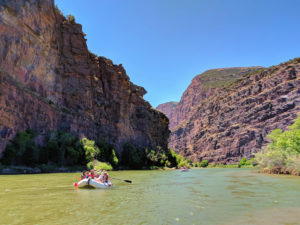 Green River Rafting-Gates of Lodore-Mild to Wild Rafting