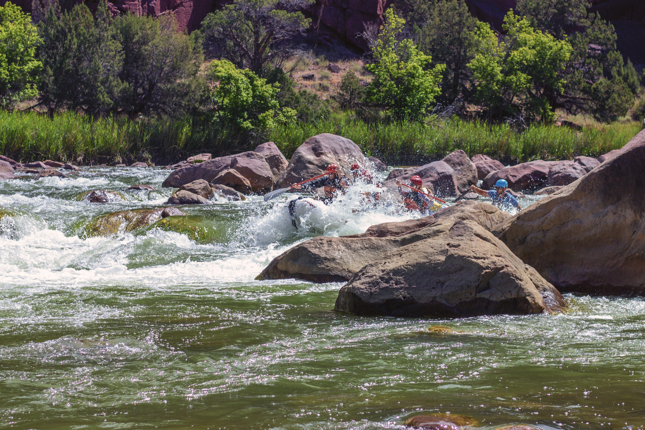 Green River Rafting-Gates of Lodore-Mild to Wild Rafting