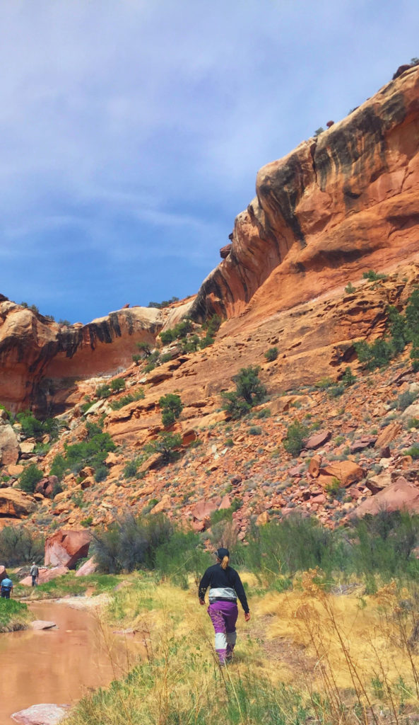 a sandstone canyon wall