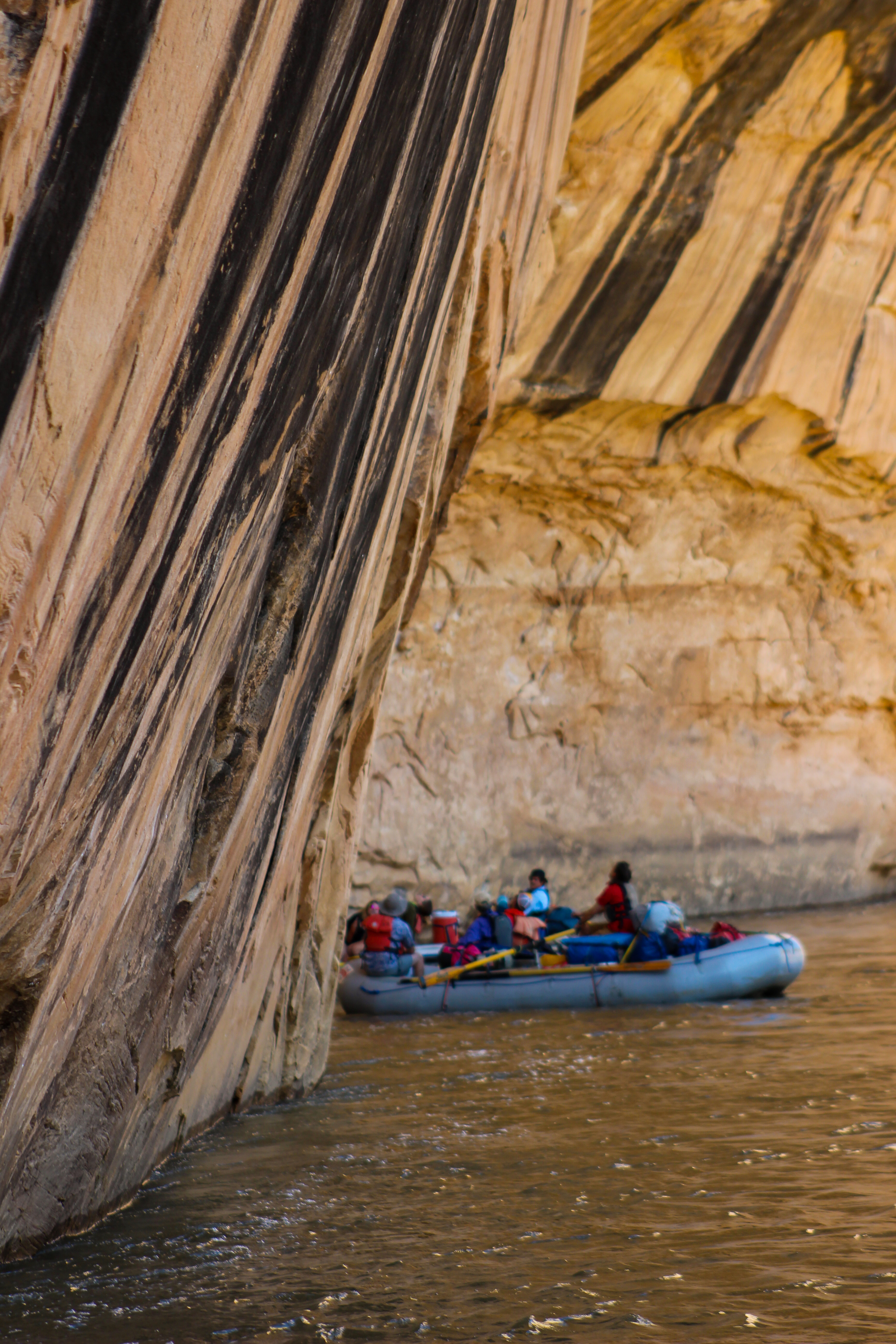 Yampa River Rafting - Dinosaur National Monument - Mild to Wild Rafting