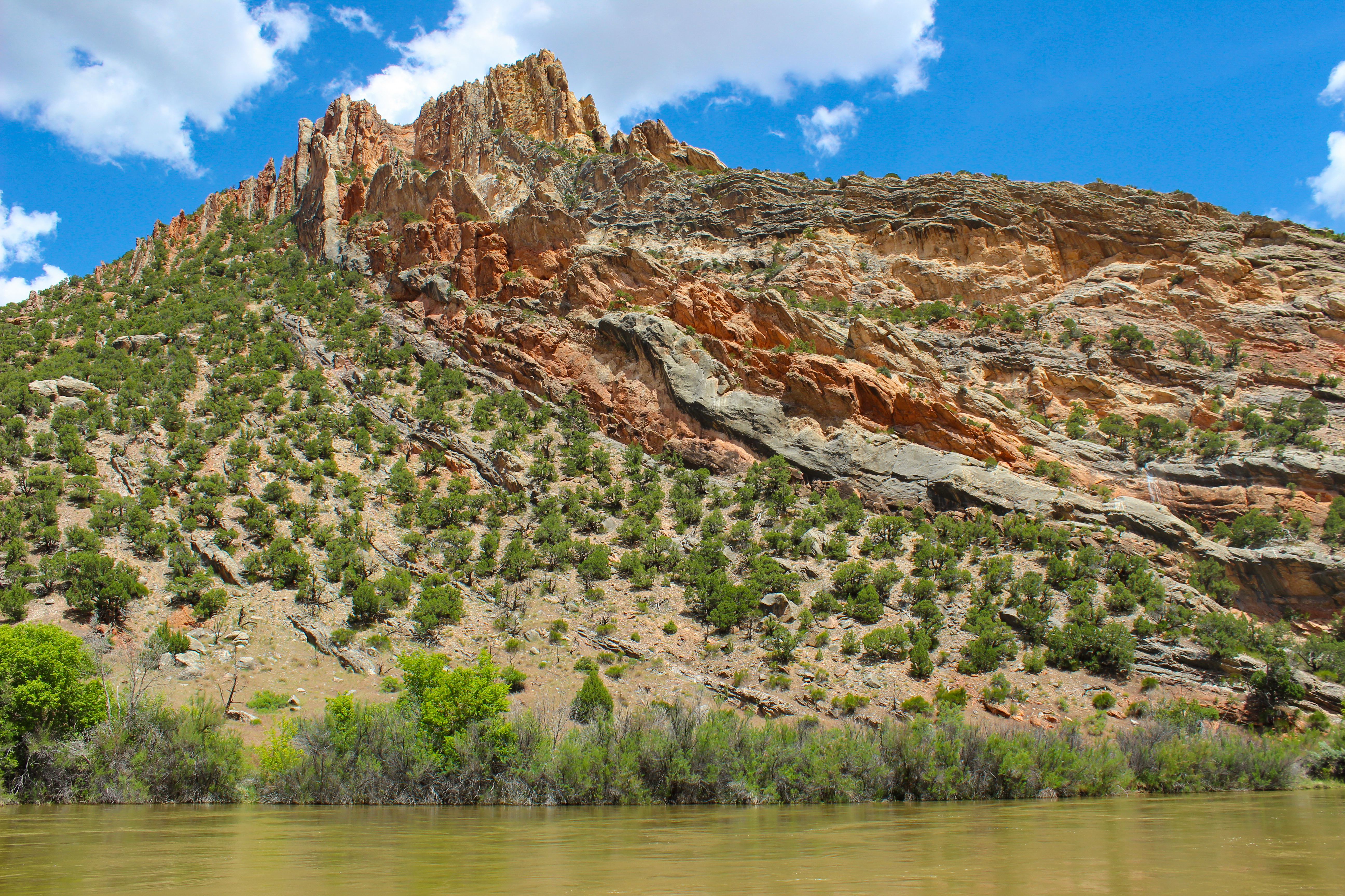 Yampa River Rafting - Dinosaur National Monument - Mild to Wild Rafting