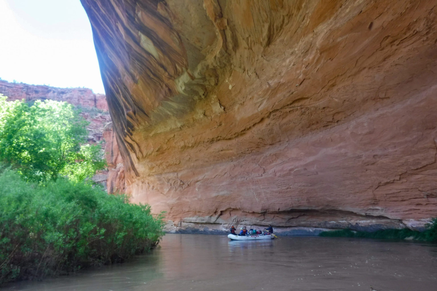 rafting on dolores river through canyon – mild to wild rafting