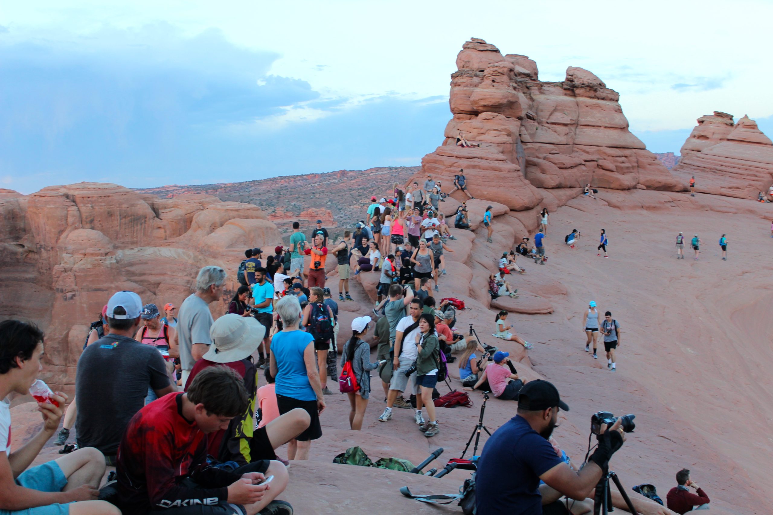 are dogs allowed in moab national park