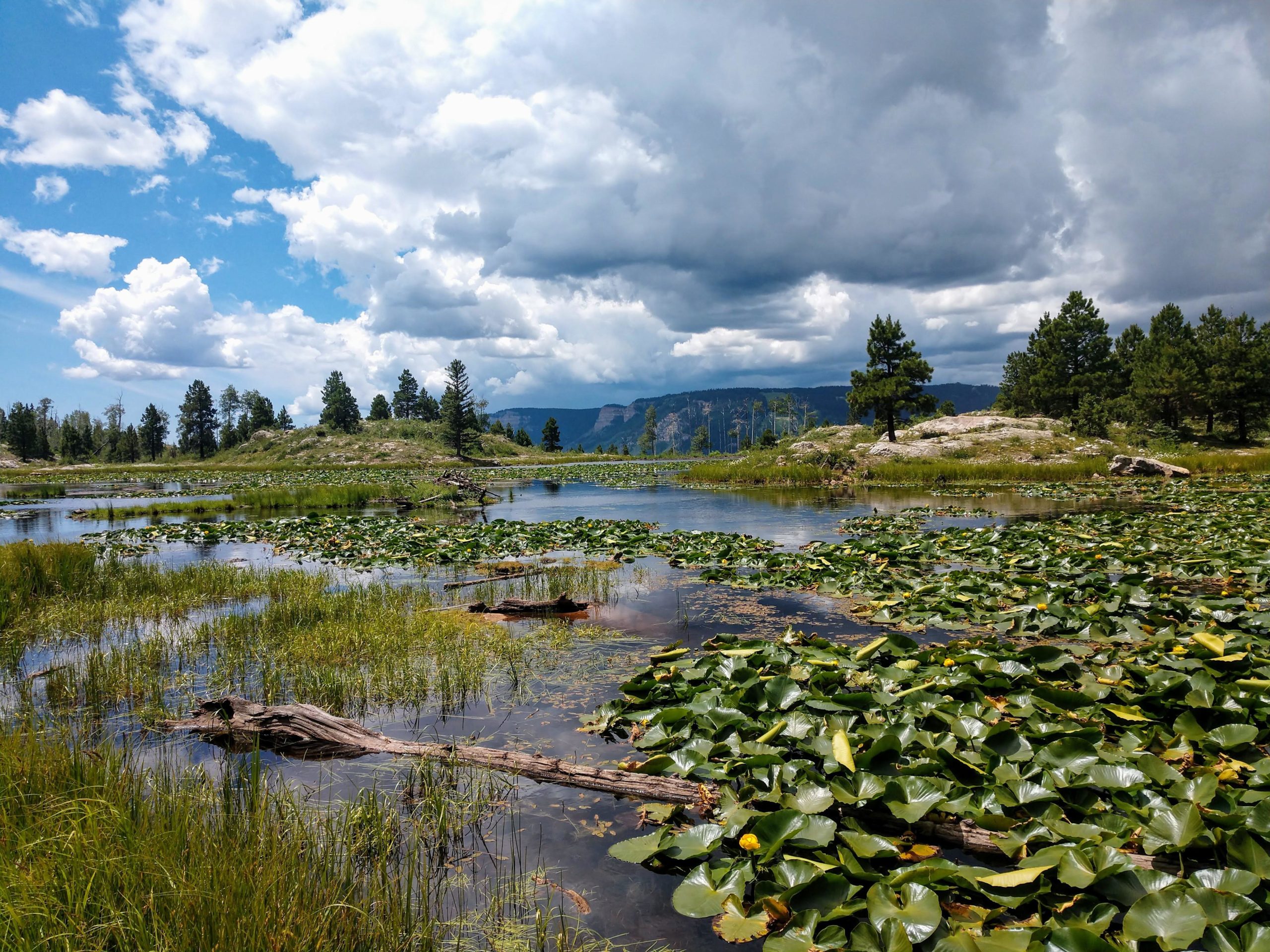 Spud Lake Durango Hikes Kids 