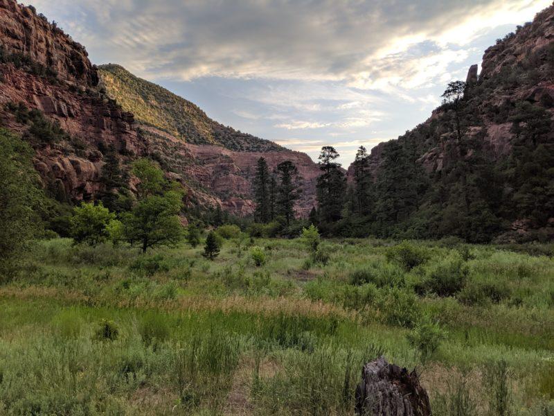 Box Elder Campground Dolores River place to camp 