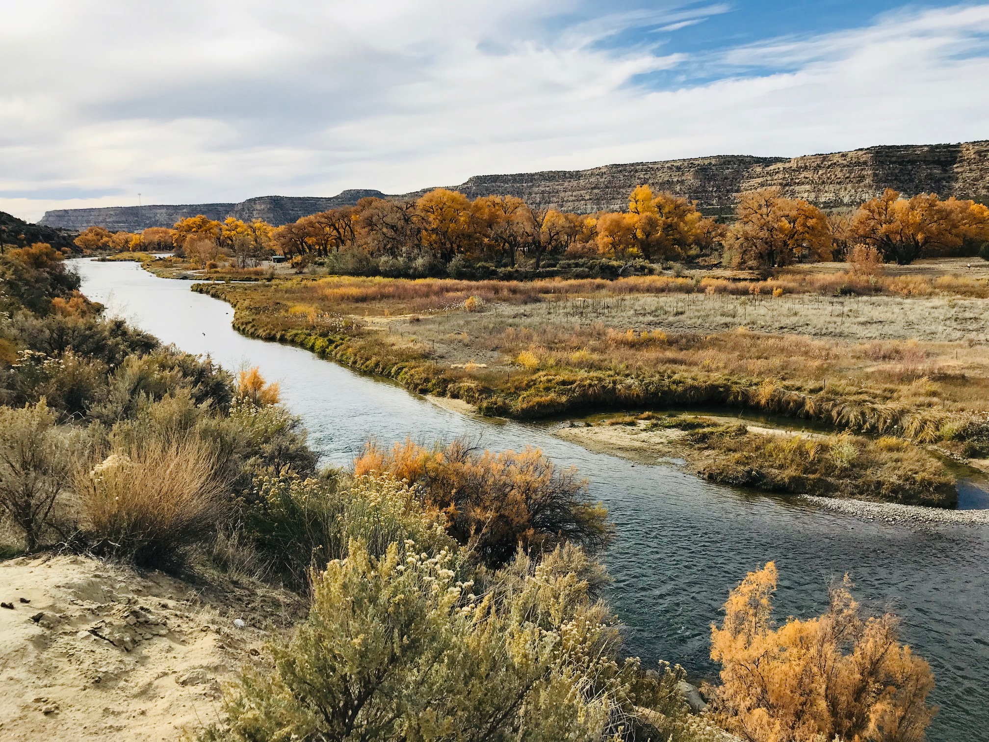 San Juan River camping for fishing New Mexico