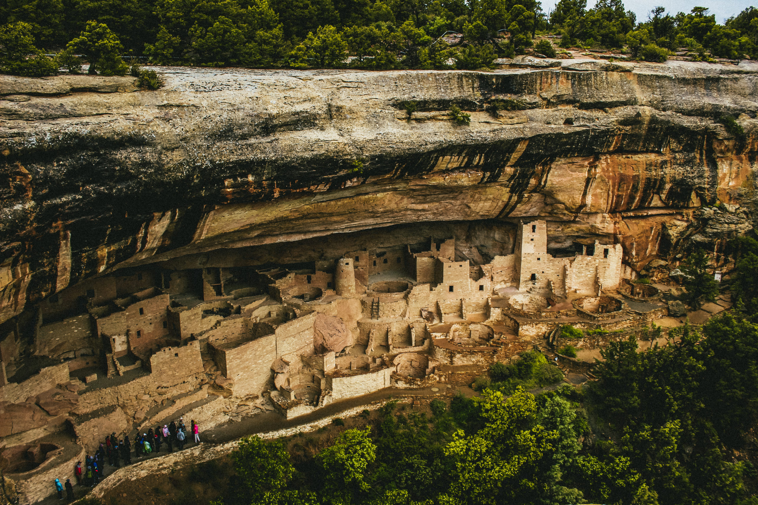 mesa verde half day tours