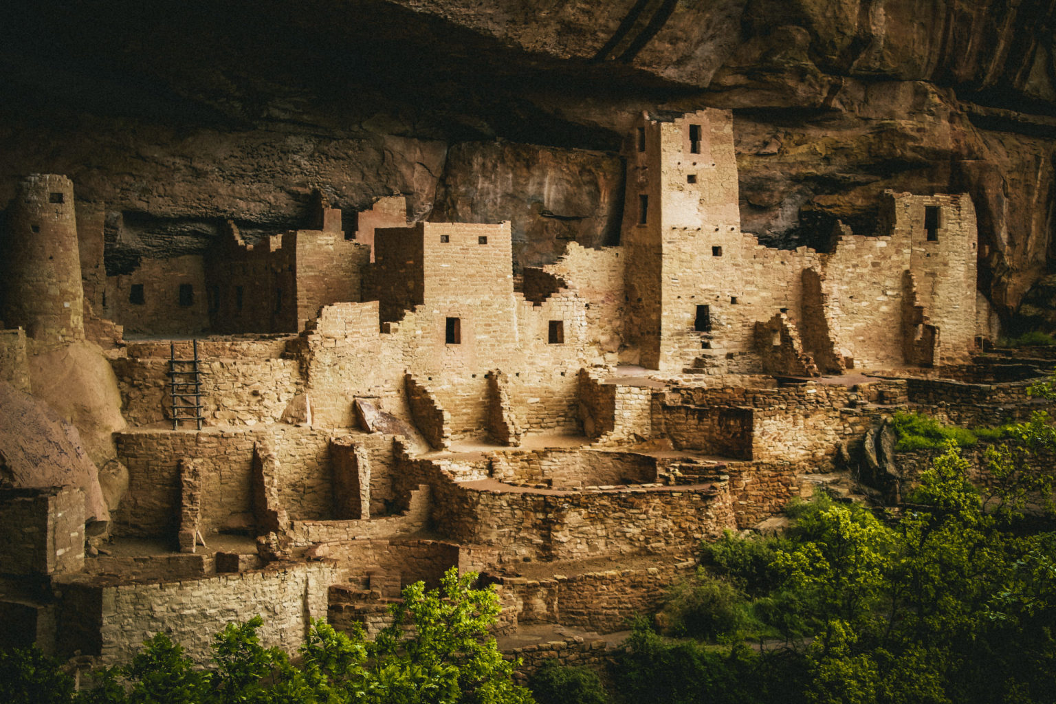 Mesa Verde Cliff Palace Tour - Colorado - Mild to Wild Land Tours