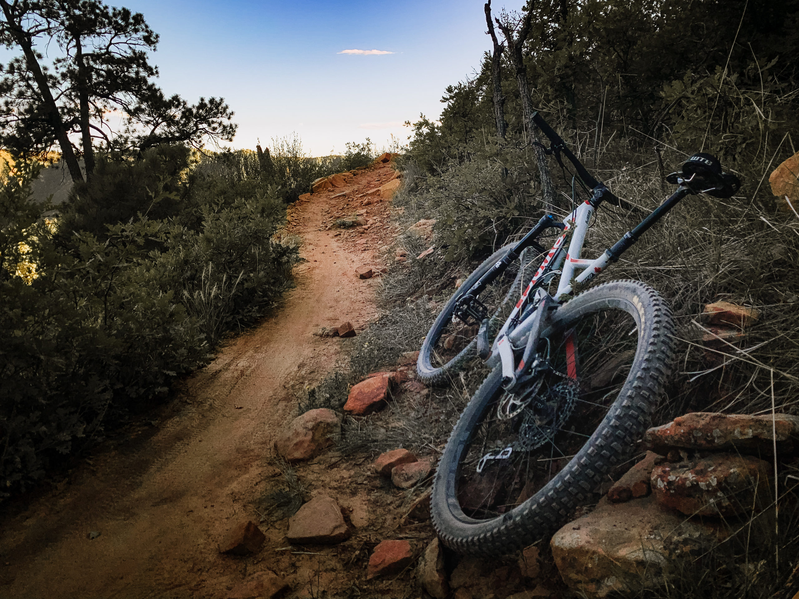 Beginner mountain bike online trails